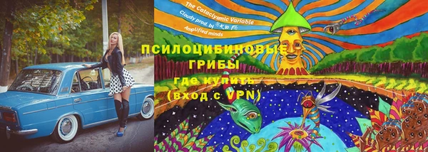 прущий лед Гусев