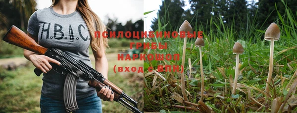 ALPHA PVP Гусь-Хрустальный